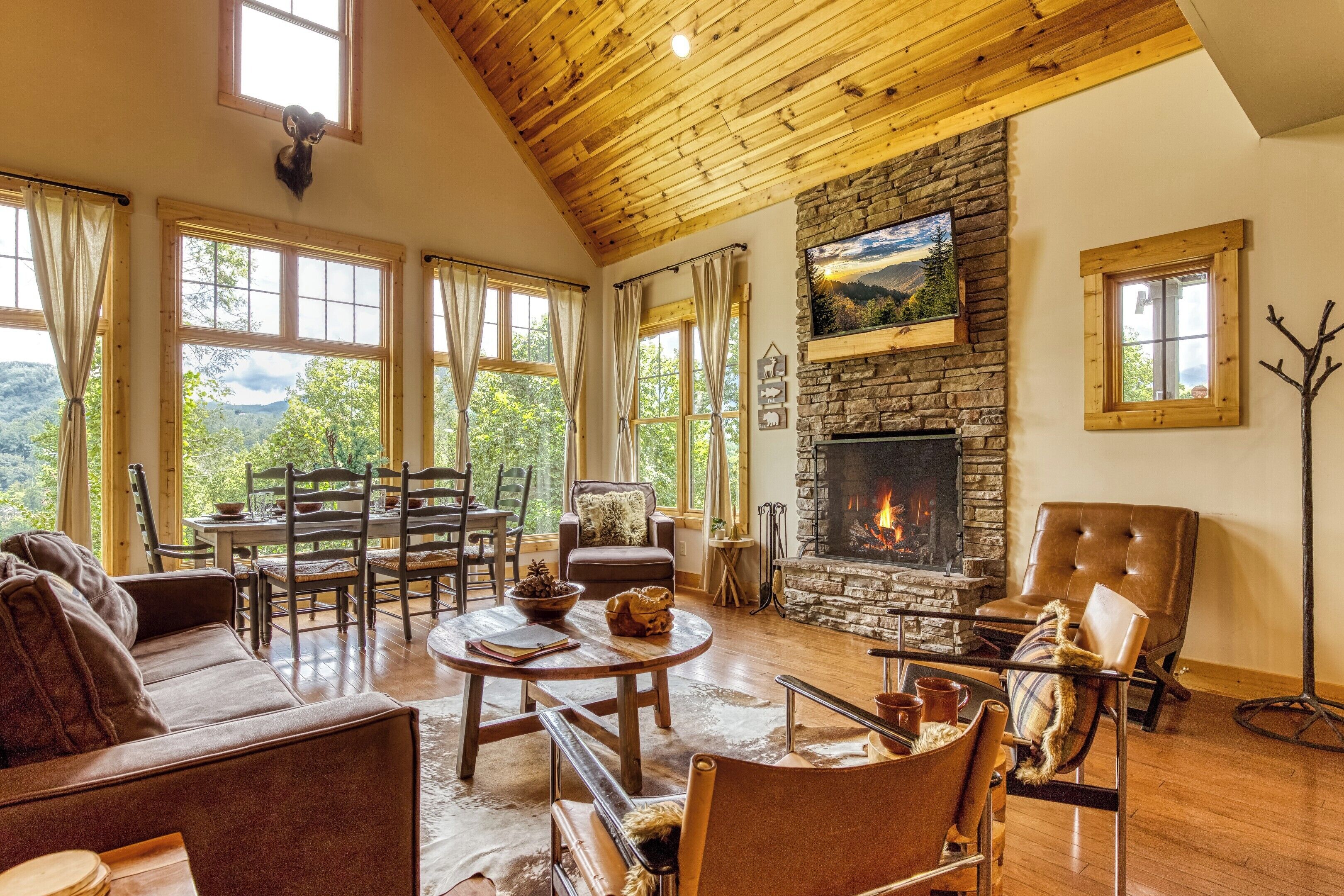 Smart TV, fireplace, video games