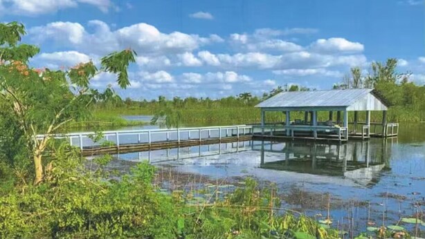 Een overdekte steiger die uitsteekt over een wateroppervlak, omgeven door weelderige begroeiing.