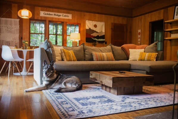 TV connectée, cheminée, chaîne hi-fi