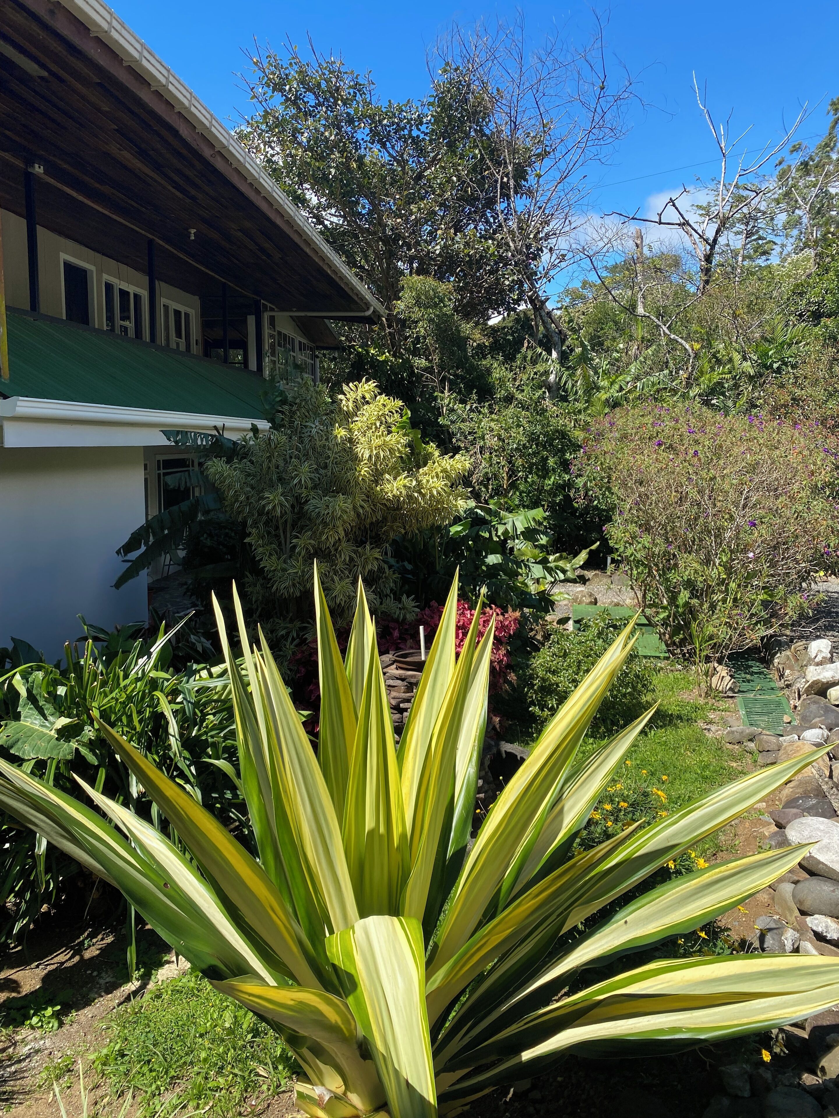 Habitación estándar doble | Vistas al jardín