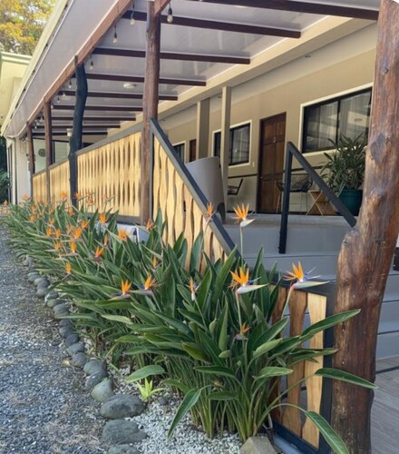 Natüra Hotel Monteverde