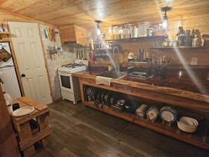 Private kitchen - Kenai cabin on the bluff (Clam Gulch)
