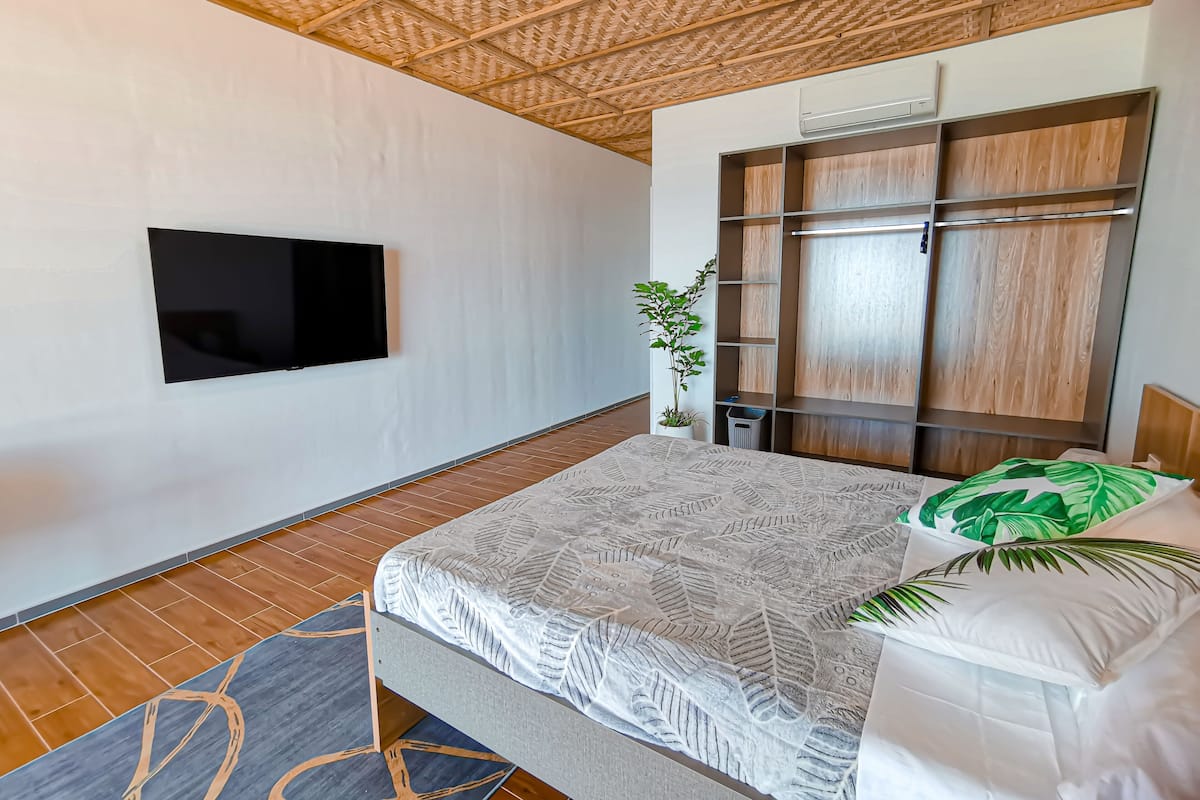 Ein Schlafzimmer mit einem Bett, einem Fernseher, einer Pflanze und einem Kleiderschrank.