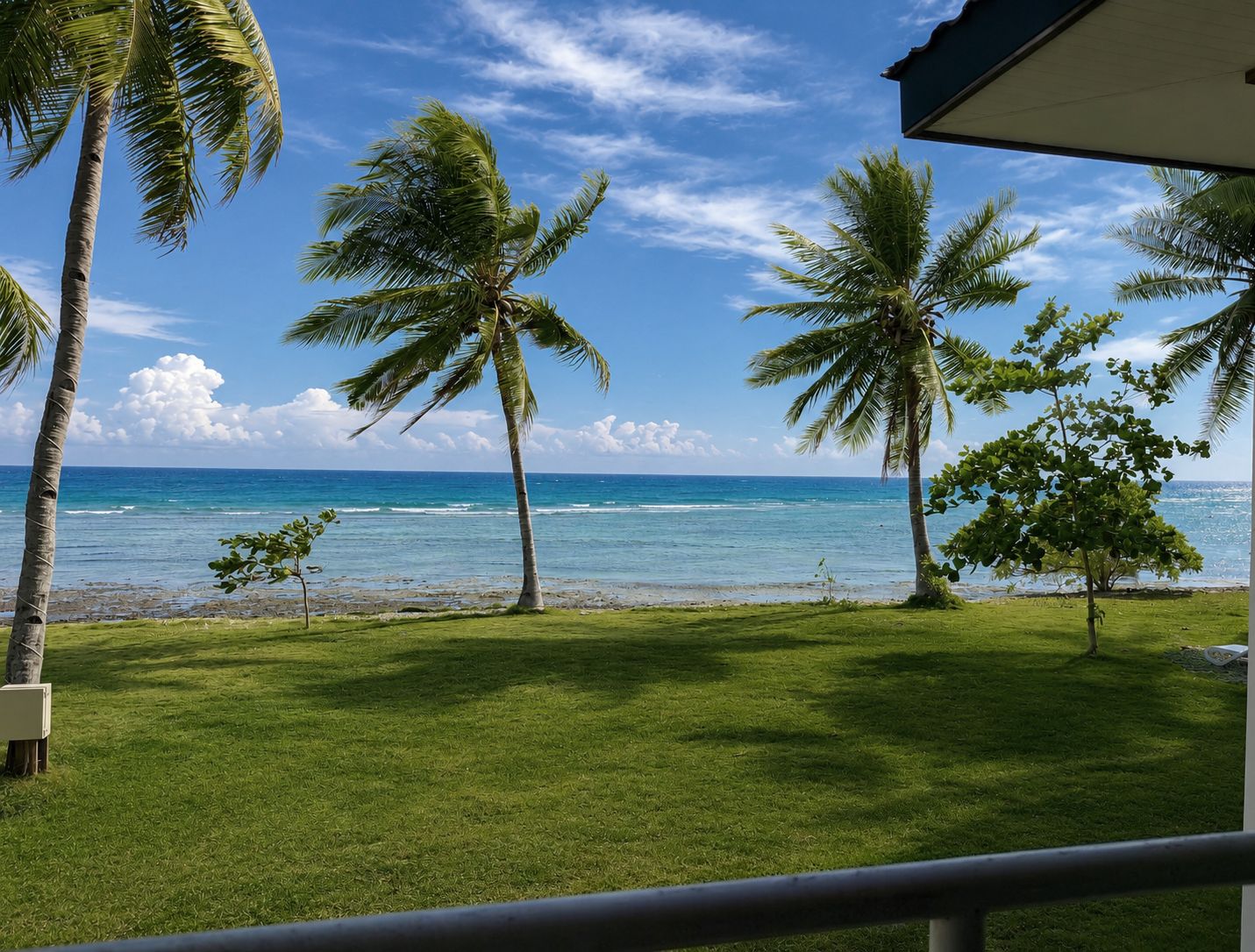 A grassy area with palm trees and a view of the ocean.