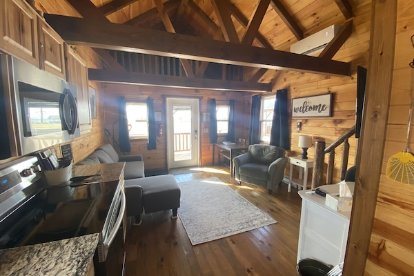 Smart TV, DVD player, video library