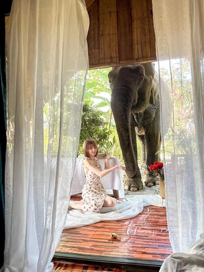 32 吋LCD 電視連數碼電視頻道、電視