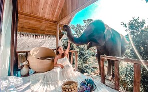 32 吋LCD 電視連數碼電視頻道、電視