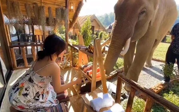 Comfort Room | 테라스/파티오