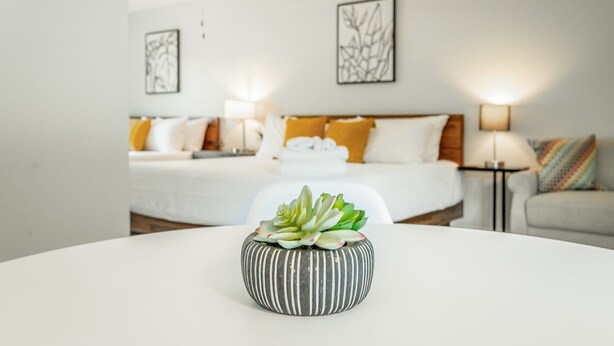 Ein Hotelzimmer mit Bett, Nachttischen und einer Zimmerpflanze auf einem Tisch.