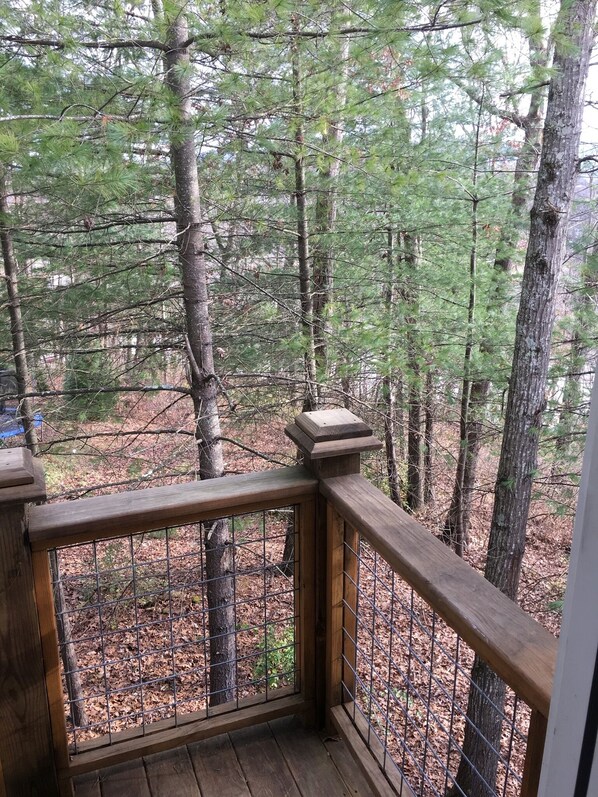 Property grounds - Cozy Studio Apartment Nestled in the Trees (Asheville)