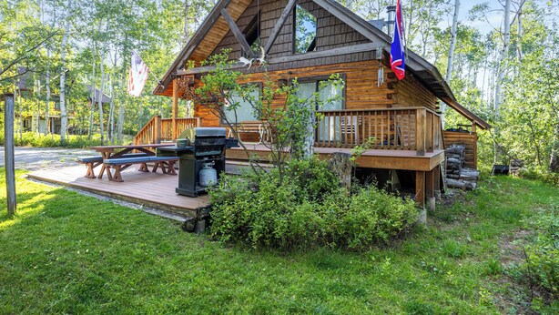 Een houten chalet met terras, picknicktafels en een vlag.
