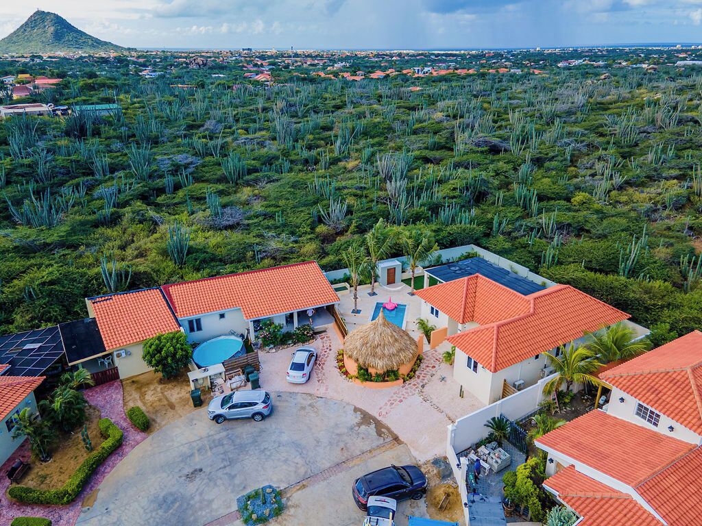 Vista aèria d'una zona residencial amb cases que tenen teulades de rajola vermella, una piscina i una muntanya al fons.