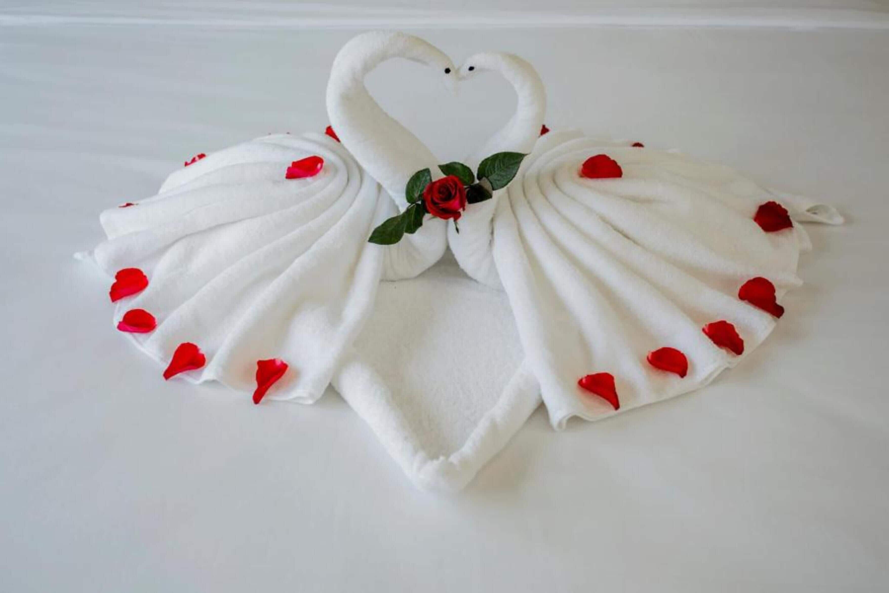 A decorative towel arrangement in the shape of a swan with red rose petals and a rose centerpiece.