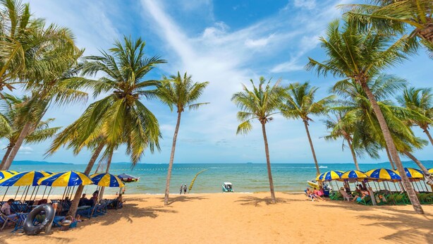 A beach with palm trees, umbrellas, and a clear sky. - Happy Jomtien - Direct Beach Access, Sea View & Central Location (Pattaya)