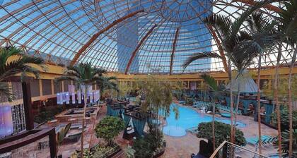 1-Bedroom Suite at a 4⭐️ Hotel