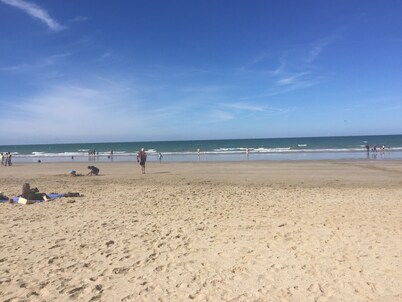 Close to the magical Broçeliande forest, quiet countryside, with sauna.