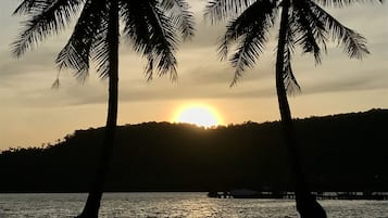 A sunset over a body of water with palm trees silhouetted against the sky.