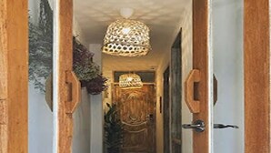 Un pasillo con una puerta de madera, una lámpara colgante y una planta.