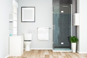 Dusche, Regendusche, Haartrockner, Handtücher