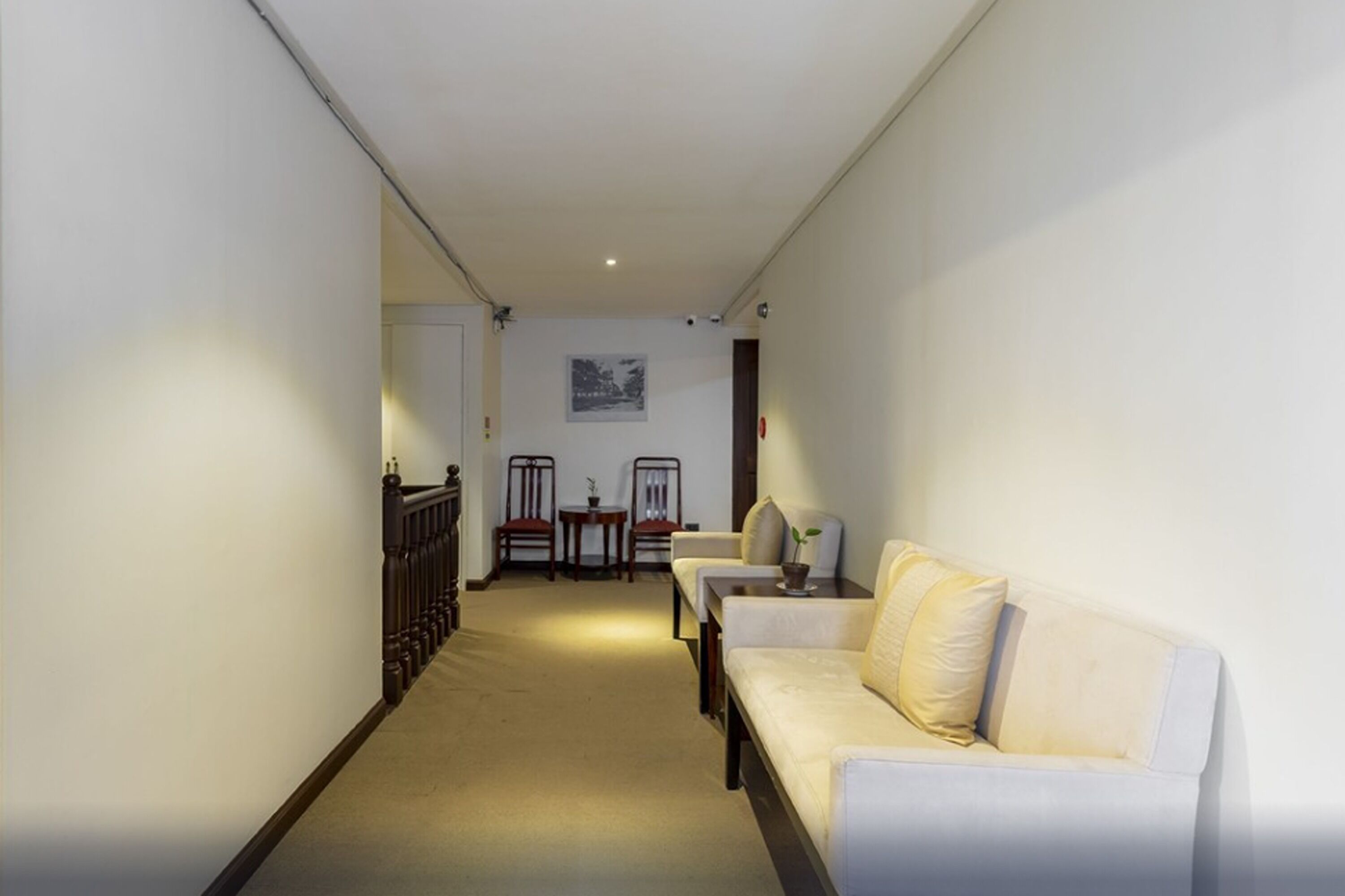 A hallway with a white sofa, a small table with a plant, and a chair.