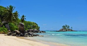 Ein tropischer Strand mit klarem, türkisblauem Wasser, großen Felsen und Palmen.