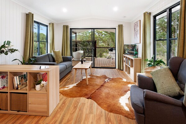 Smart TV, fireplace, books