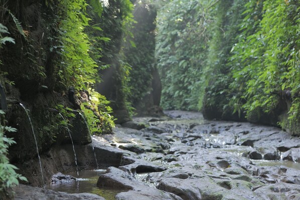 A rocky stream with water flowing over rocks, surrounded by dense green foliage. - Pramana Giri Kusuma (Payangan)