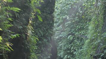 River Suite (with Daily Afternoon Tea) | Exterior