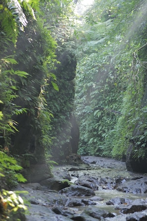 River Suite (with Daily Afternoon Tea) | Exterior