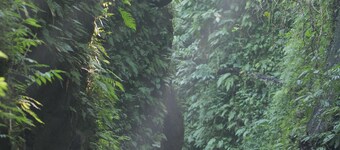 Pramana Giri Kusuma