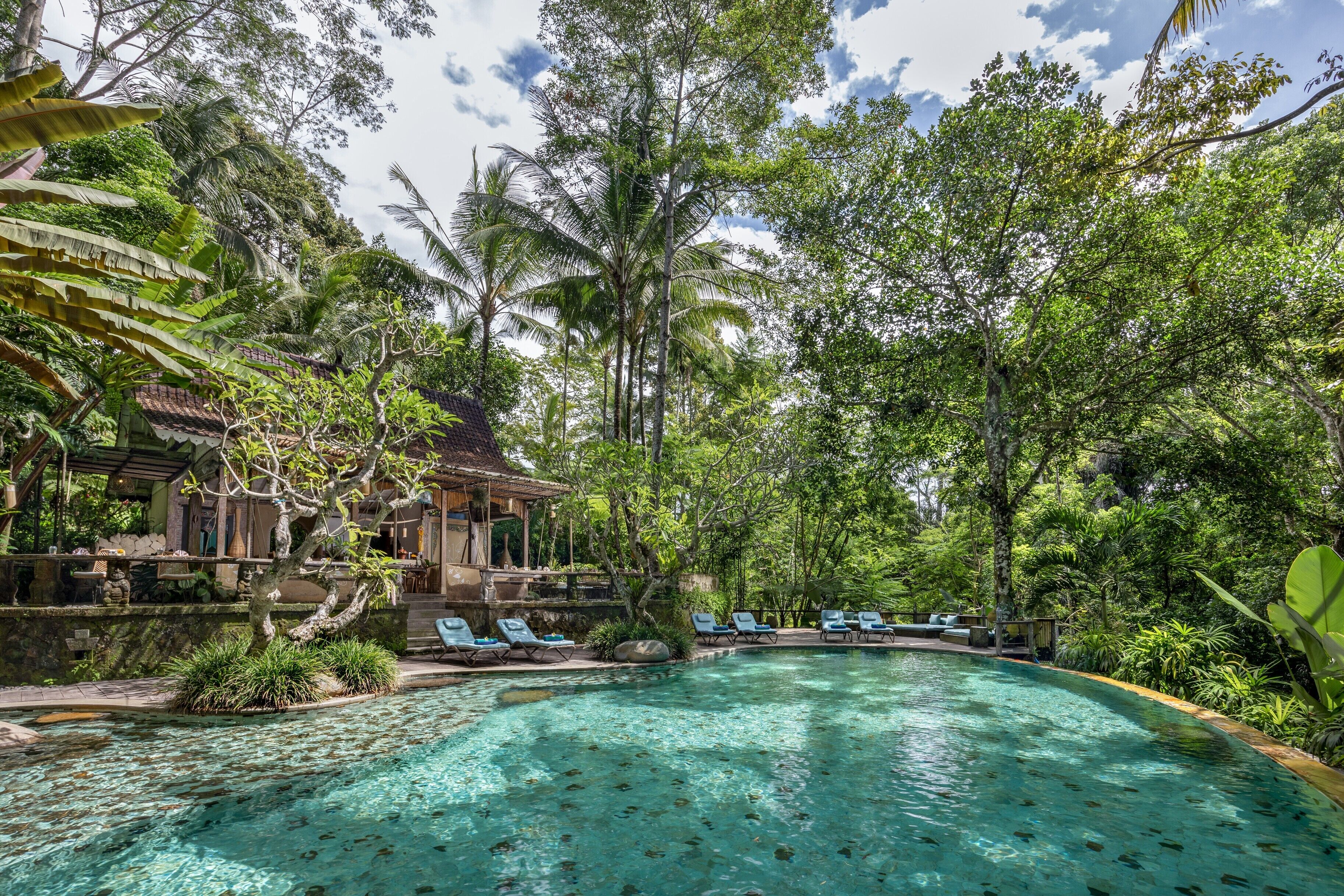 室外游泳池，提供日光浴躺椅