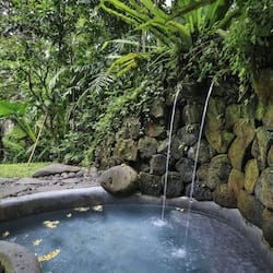 One Bedroom Jungle Villa (with Daily Afternoon Tea) | Tina profunda