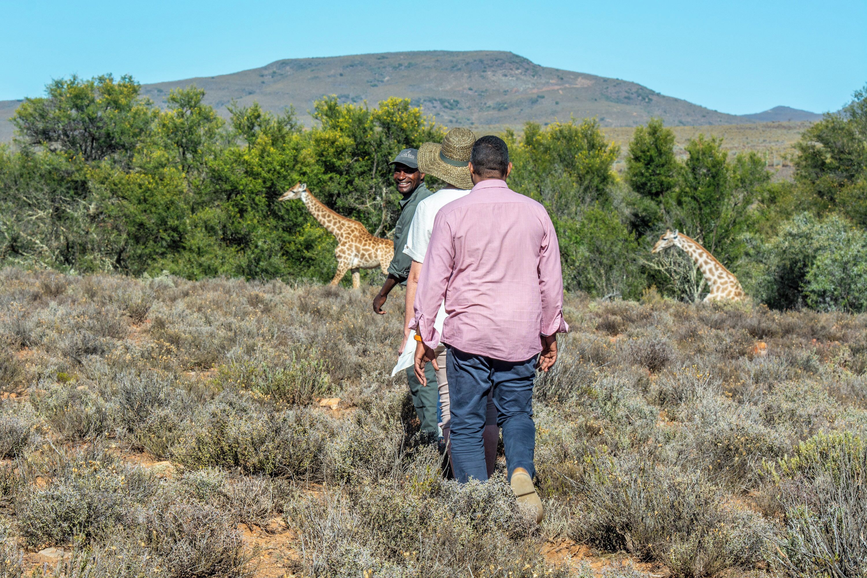 A natural landscape with giraffes and people walking.