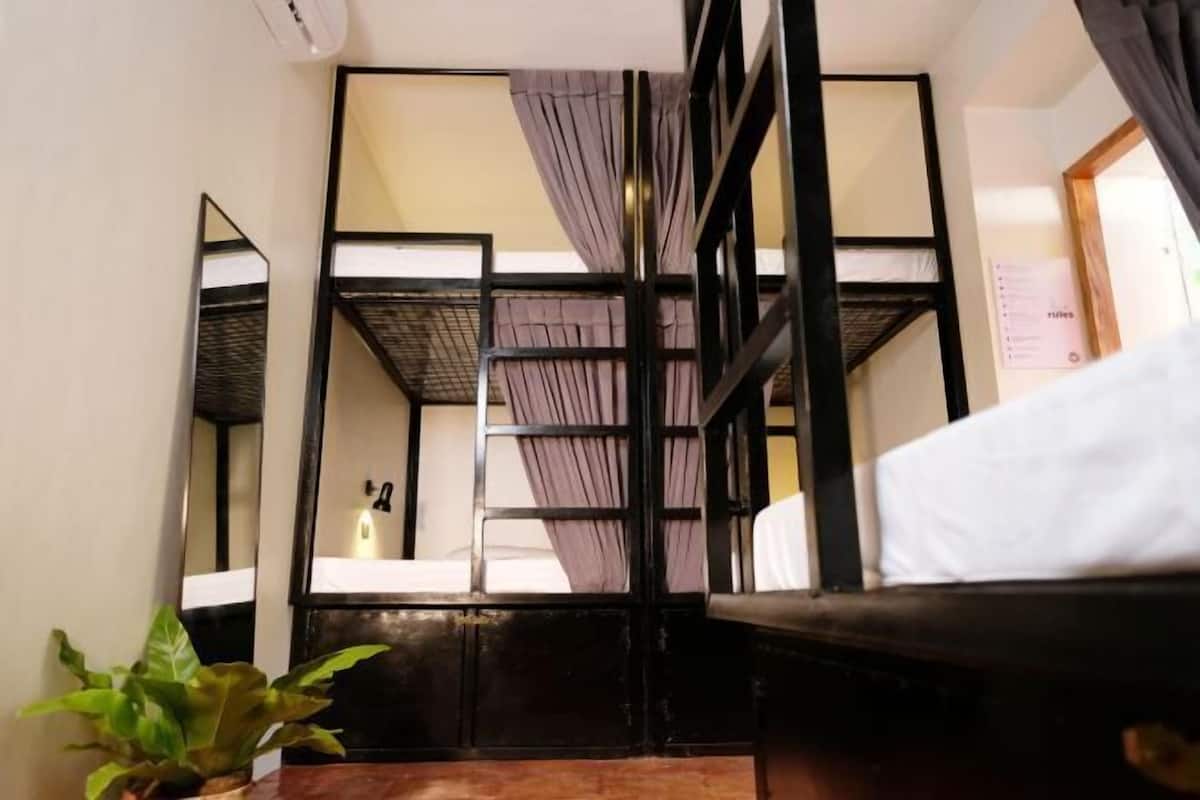 Une chambre avec des lits superposés, une plante en pot et une salle de bain visible.