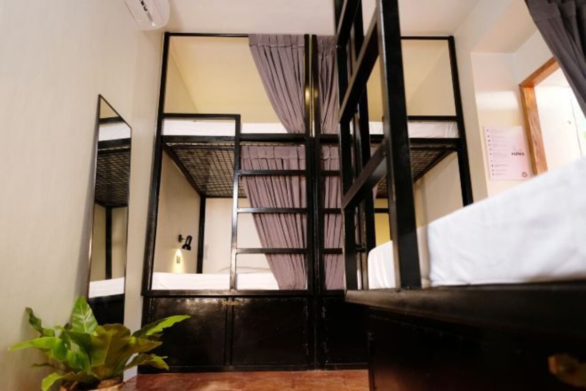 Une chambre avec des lits superposés, une plante en pot et une salle de bain visible.