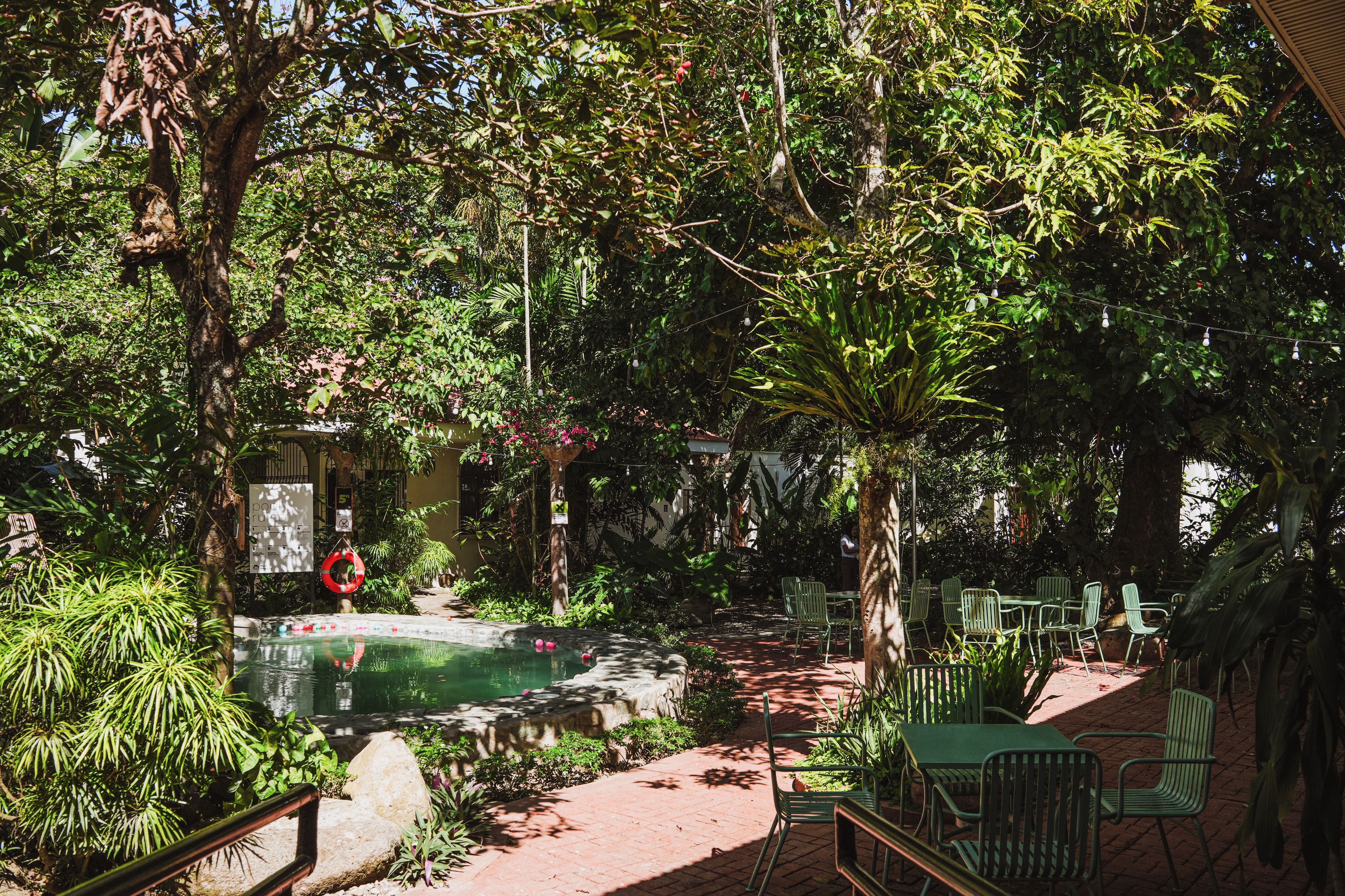 A pool area with surrounding greenery, a lifebuoy, and outdoor seating.