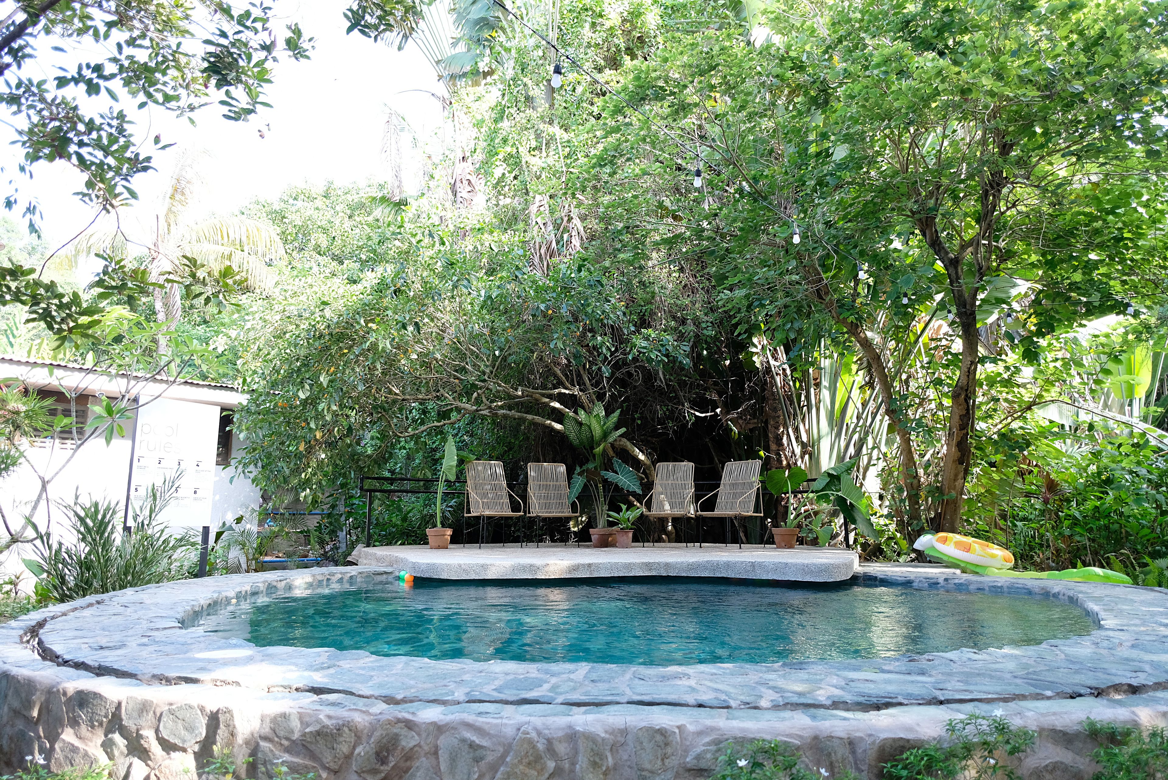 A pool with a stone edge, surrounded by lush greenery and trees.