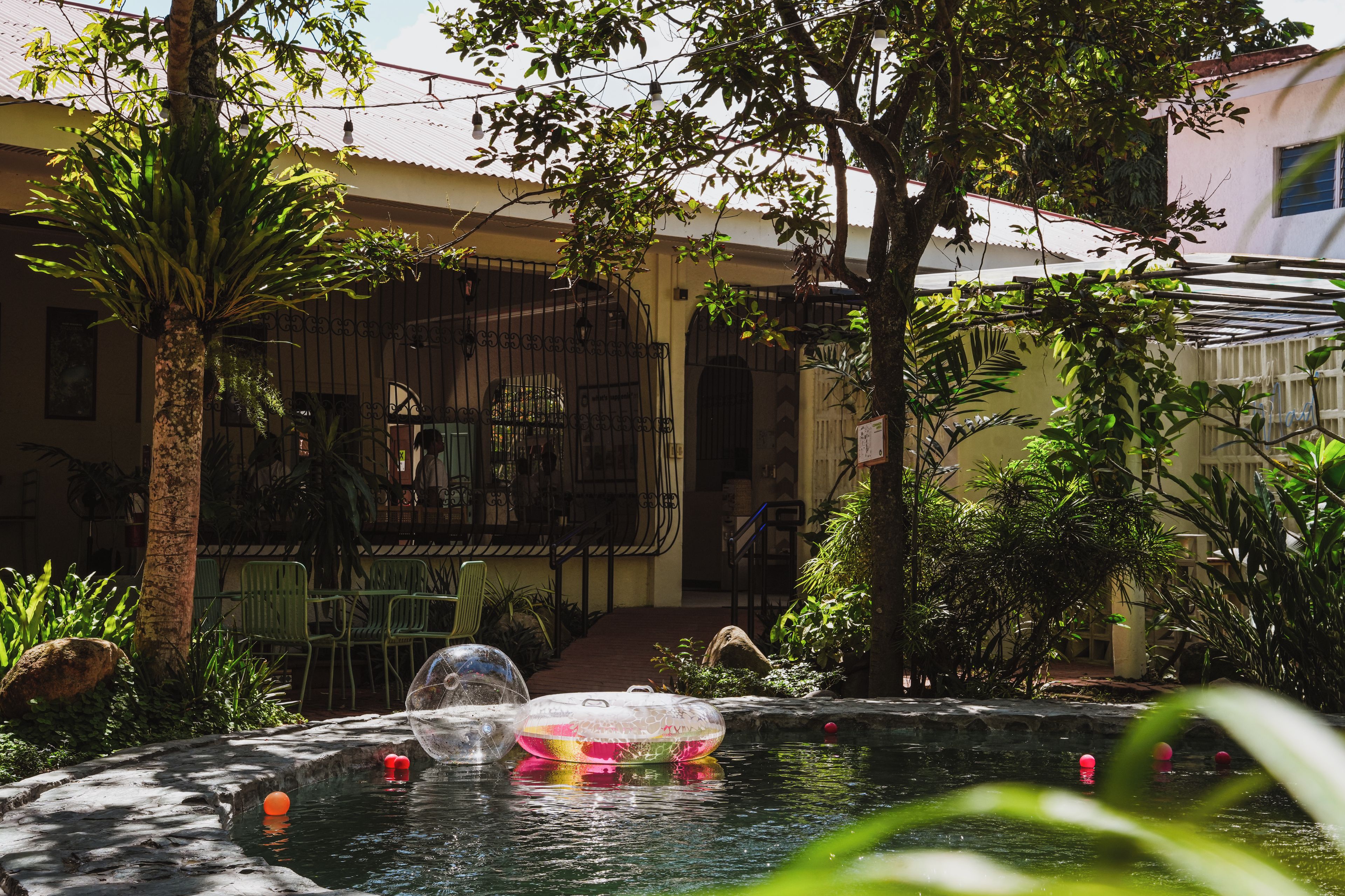 A courtyard with a swimming pool, a palm tree, and a building with a metal gate.