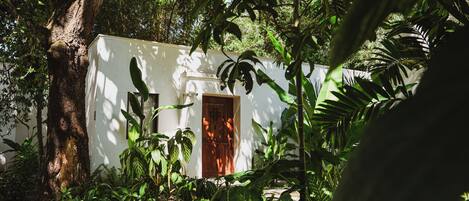A small building with a wooden door, surrounded by dense foliage.