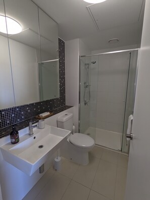 Shower, hair dryer, towels, soap