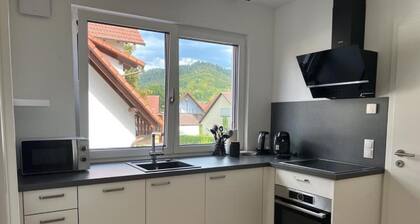 Black Forest Apartments Ferienwohnung mit 2 Schlafzimmern Nr.5