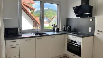 Kühlschrank, Mikrowelle, Herdplatte, Geschirrspüler