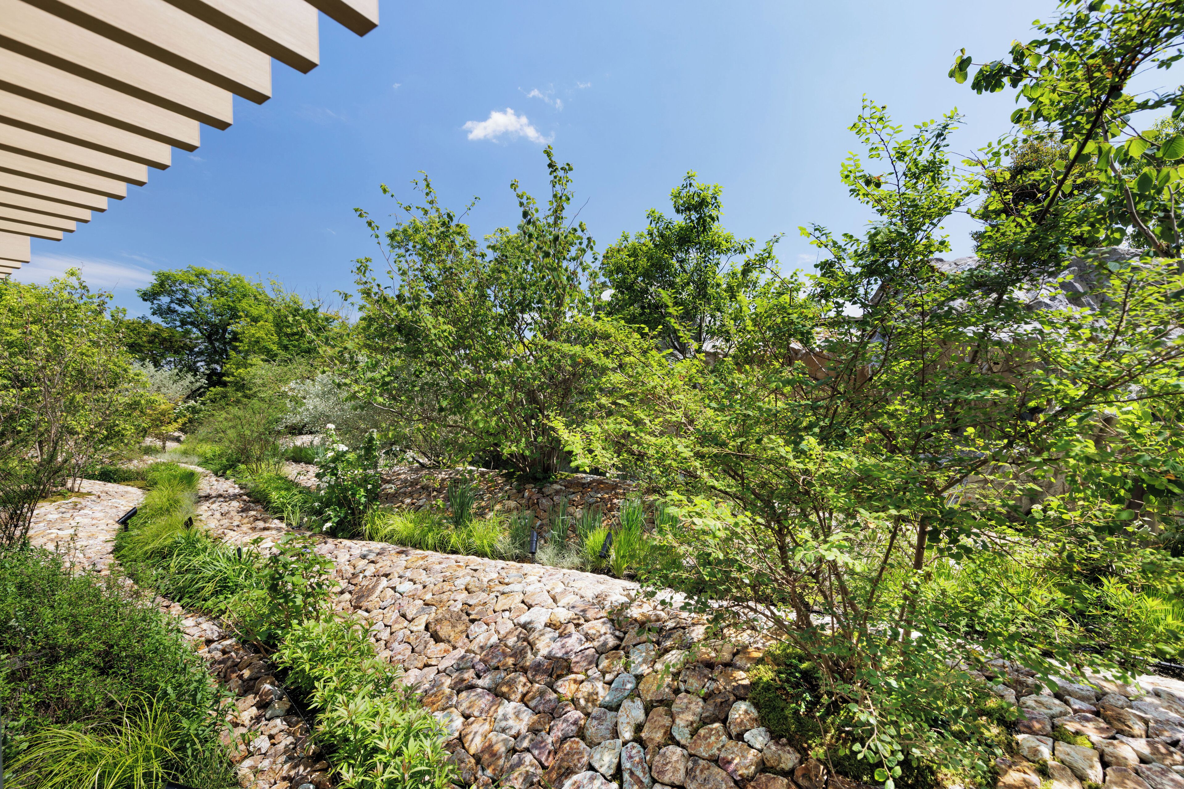 Un jardin aménagé avec un sentier en pierre, divers arbustes et arbres.