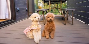 2 bedrooms, individually decorated, individually furnished, free WiFi - Rakuten STAY VILLA Yatsugatake (Hokuto)