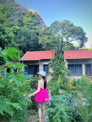 Deluxe Twin Room | Hypo-allergenic bedding, memory foam beds, minibar - Trang an green river homestay (Hoa Lu)