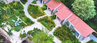 Trang an green river homestay