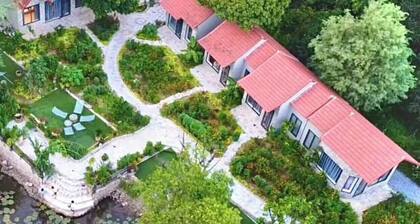 Trang an green river homestay