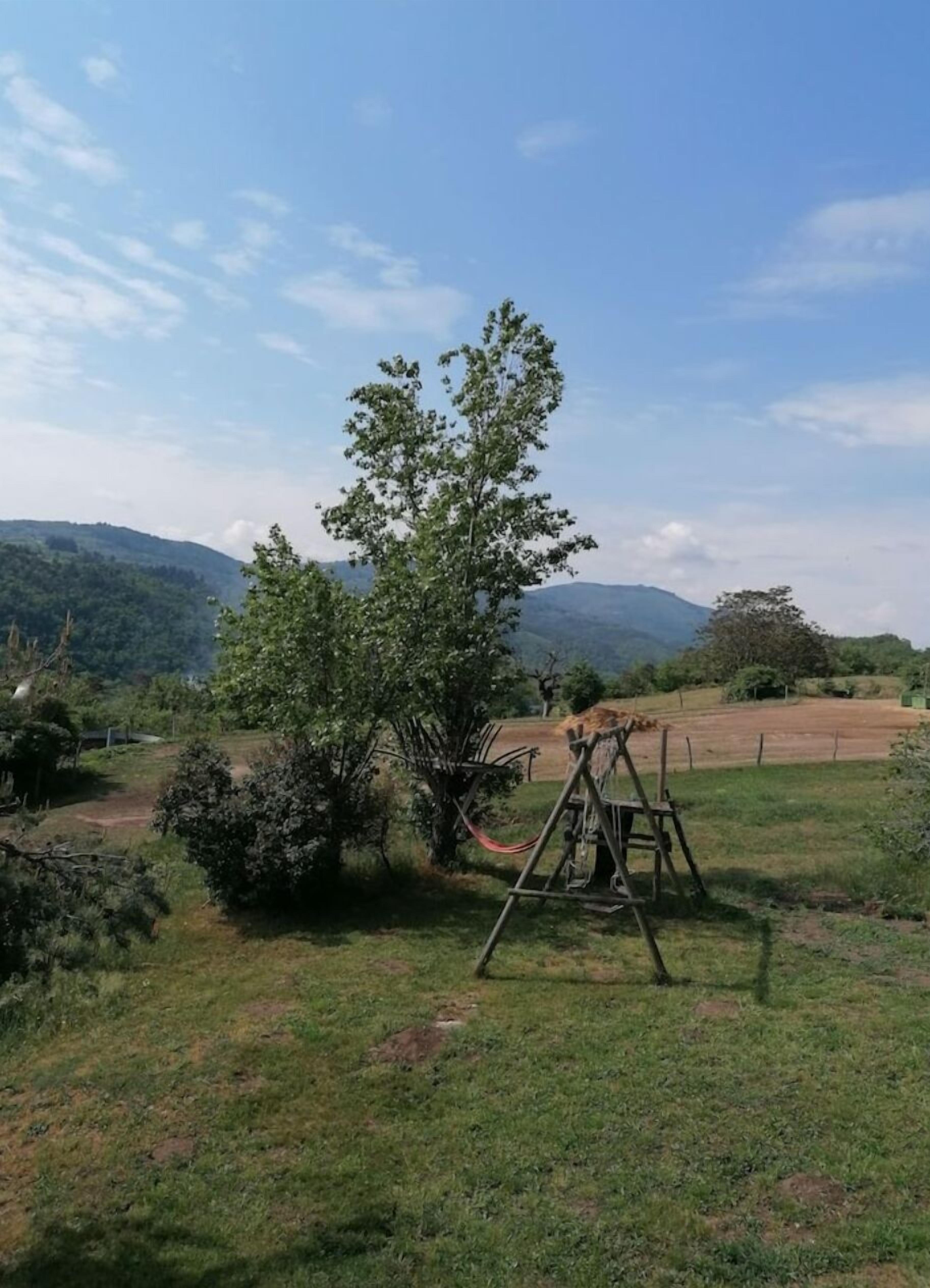 Un champ herbeux avec une balançoire et un arbre.