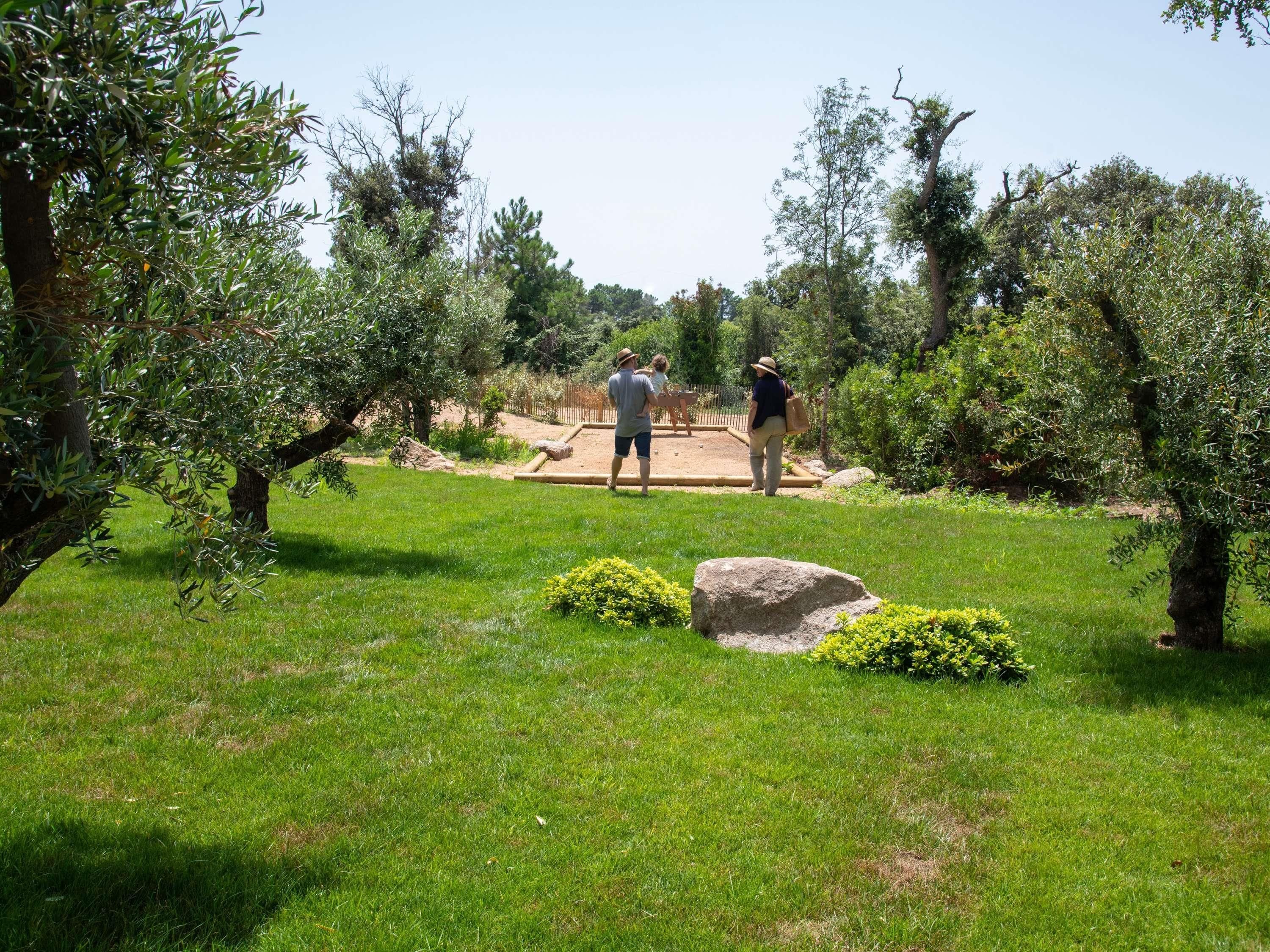 Un jardin bien entretenu, agrémenté d’oliviers, d’une terrasse en bois et d’une pelouse.
