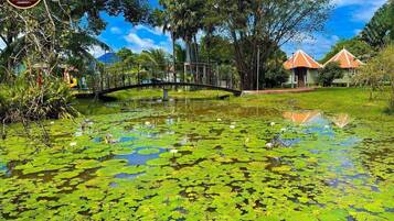 A pond with lily pads surrounded by trees and a bridge.